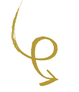 Website Angebote (1365 x 1600 px) (17)